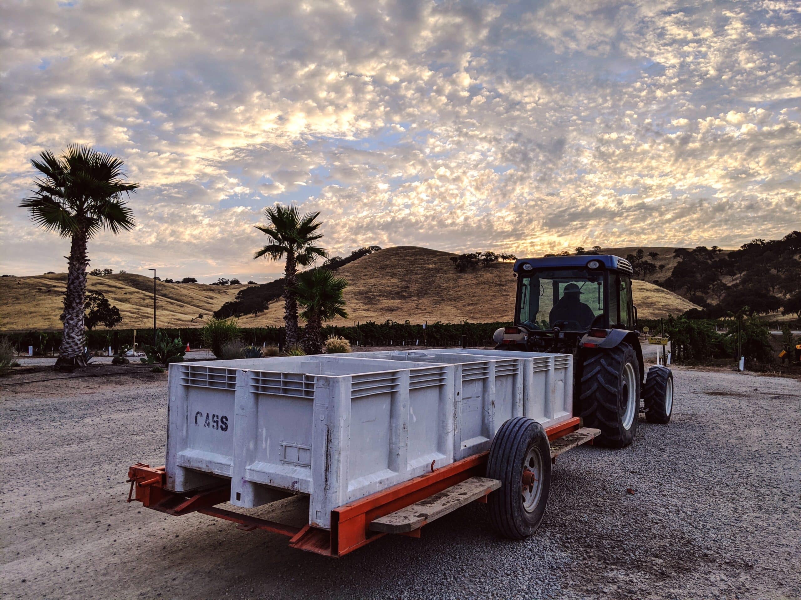 Paso Robles Harvest 2020