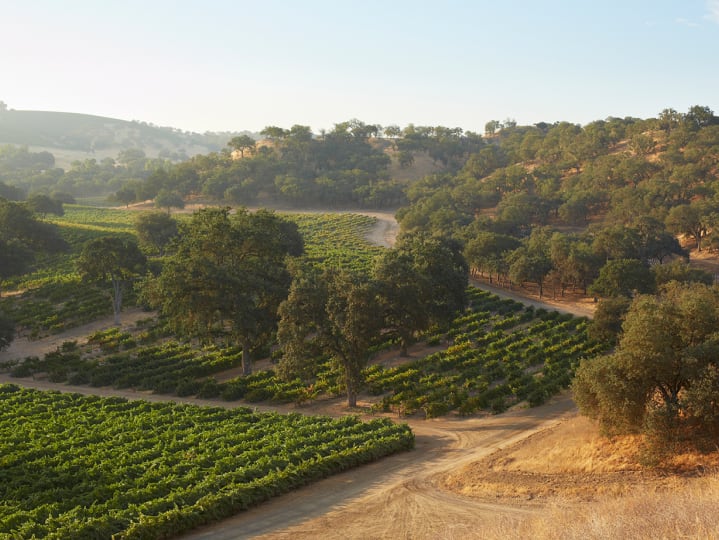 California Wine Country | Paso Robles Wine Country Alliance