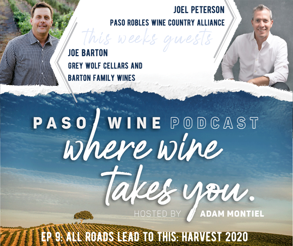 Ep 9: All Roads Lead to This: Harvest 2020 - Grey Wolf | Paso Wine