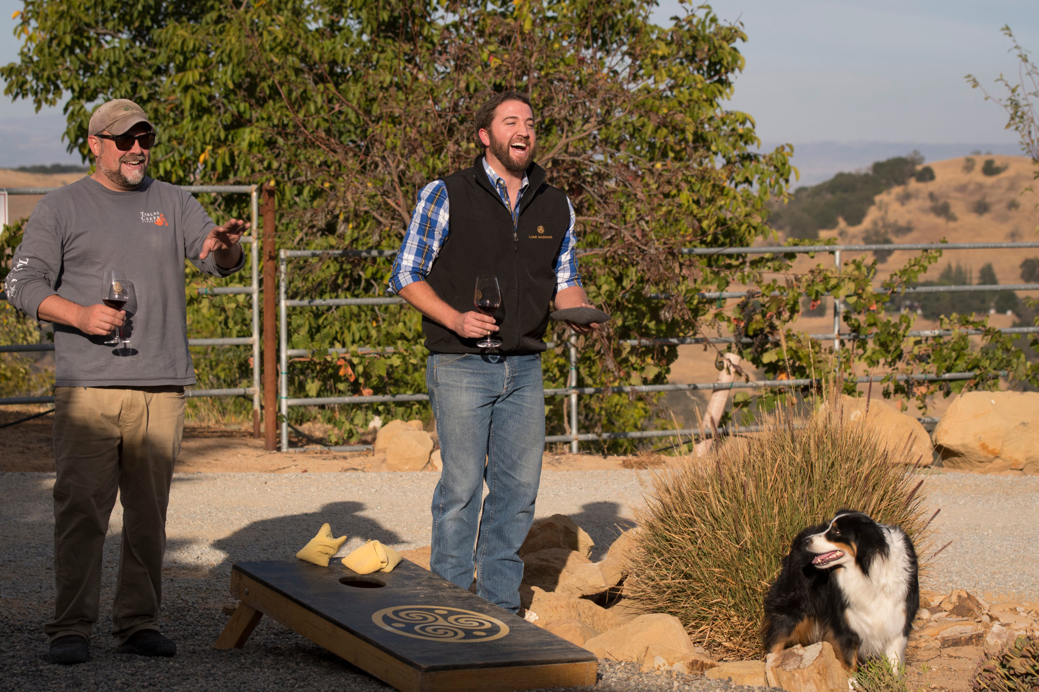 Dog Friendly Wineries in Paso Robles | Paso Robles Wine Country Alliance