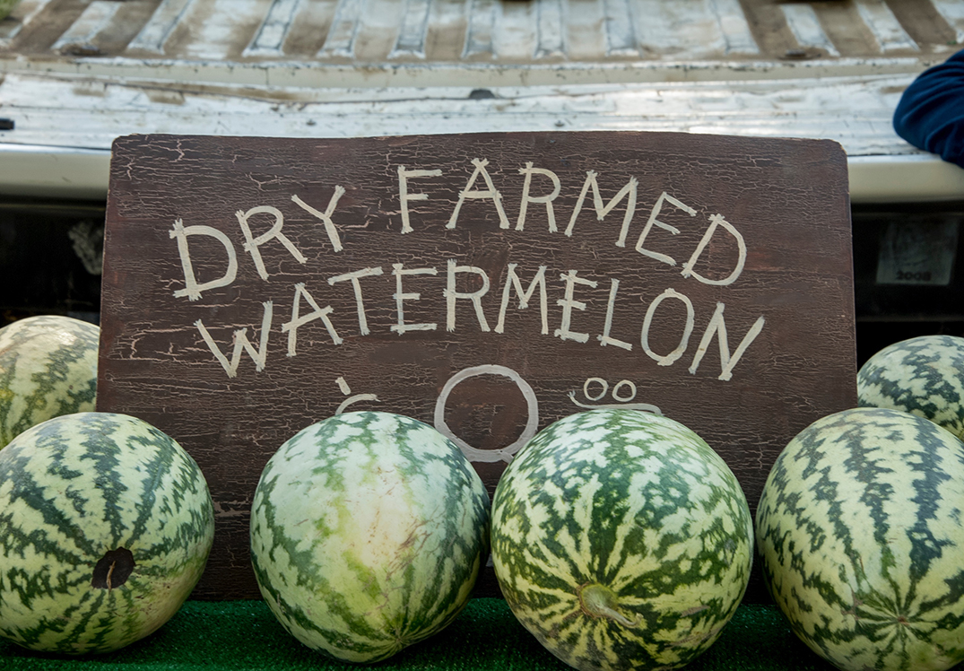 Paso Robles Farmers Market | Paso Robles Wine Country Alliance