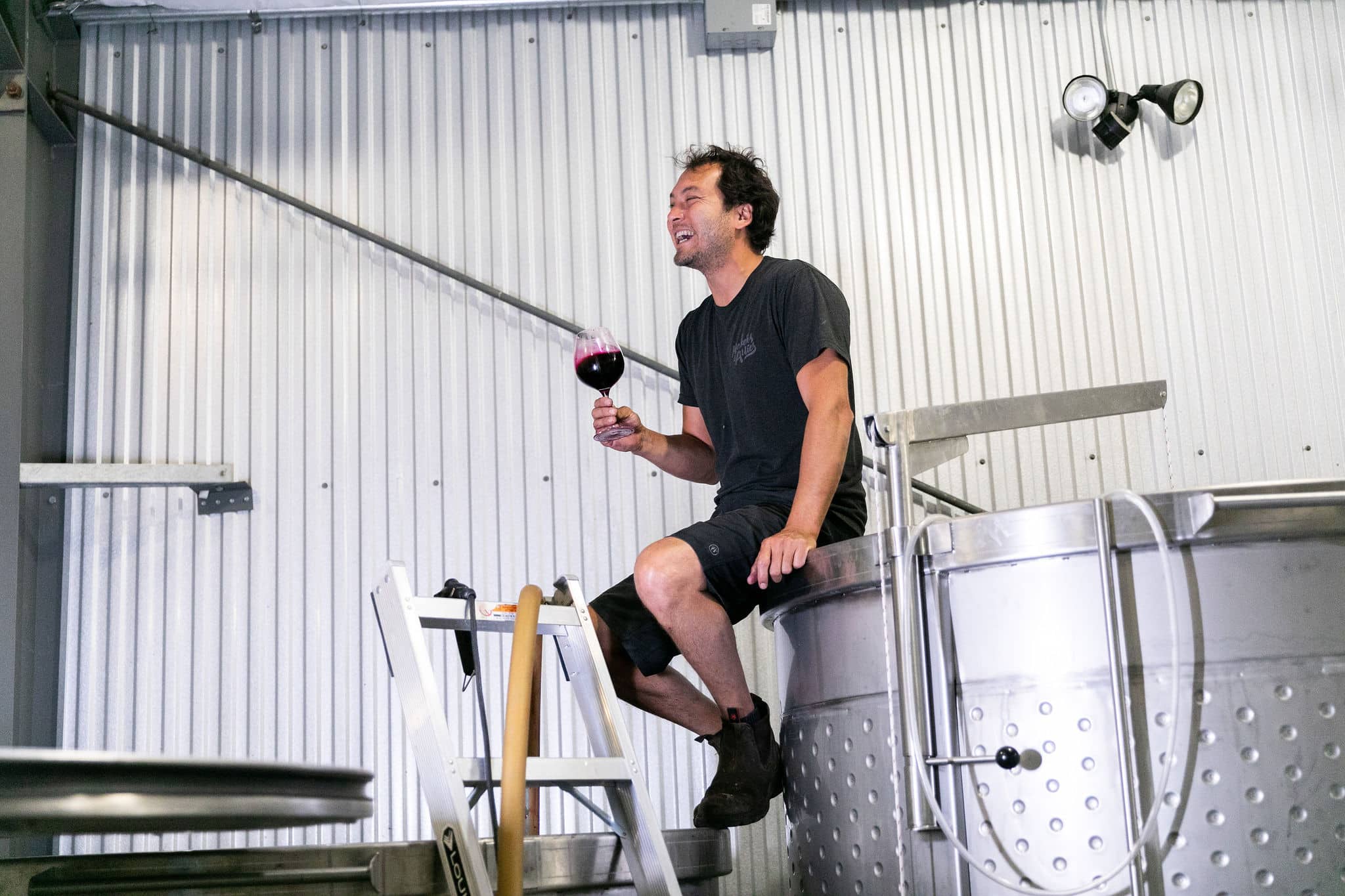 Harvest in Paso Robles