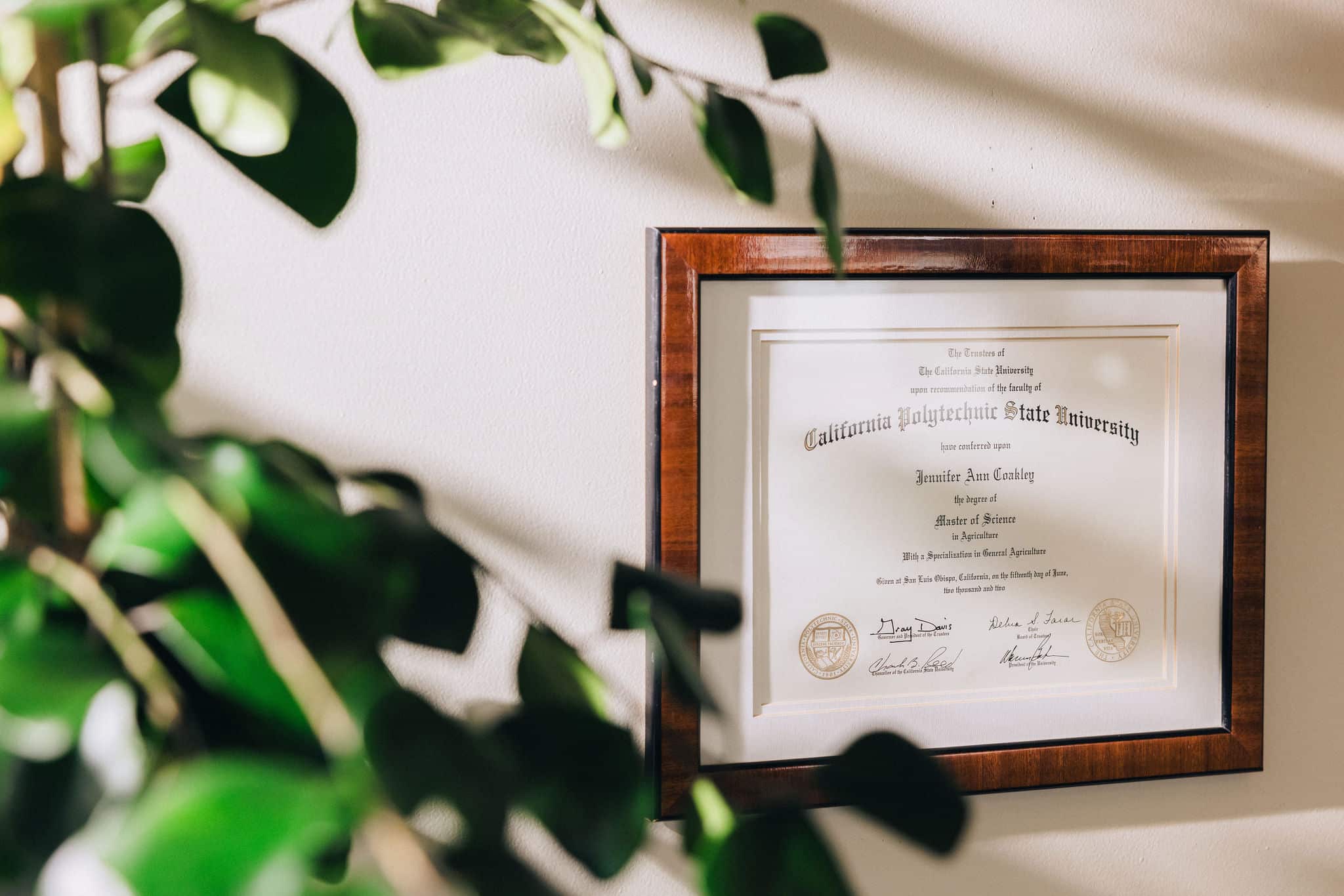 Vineyard Professional Real Estate