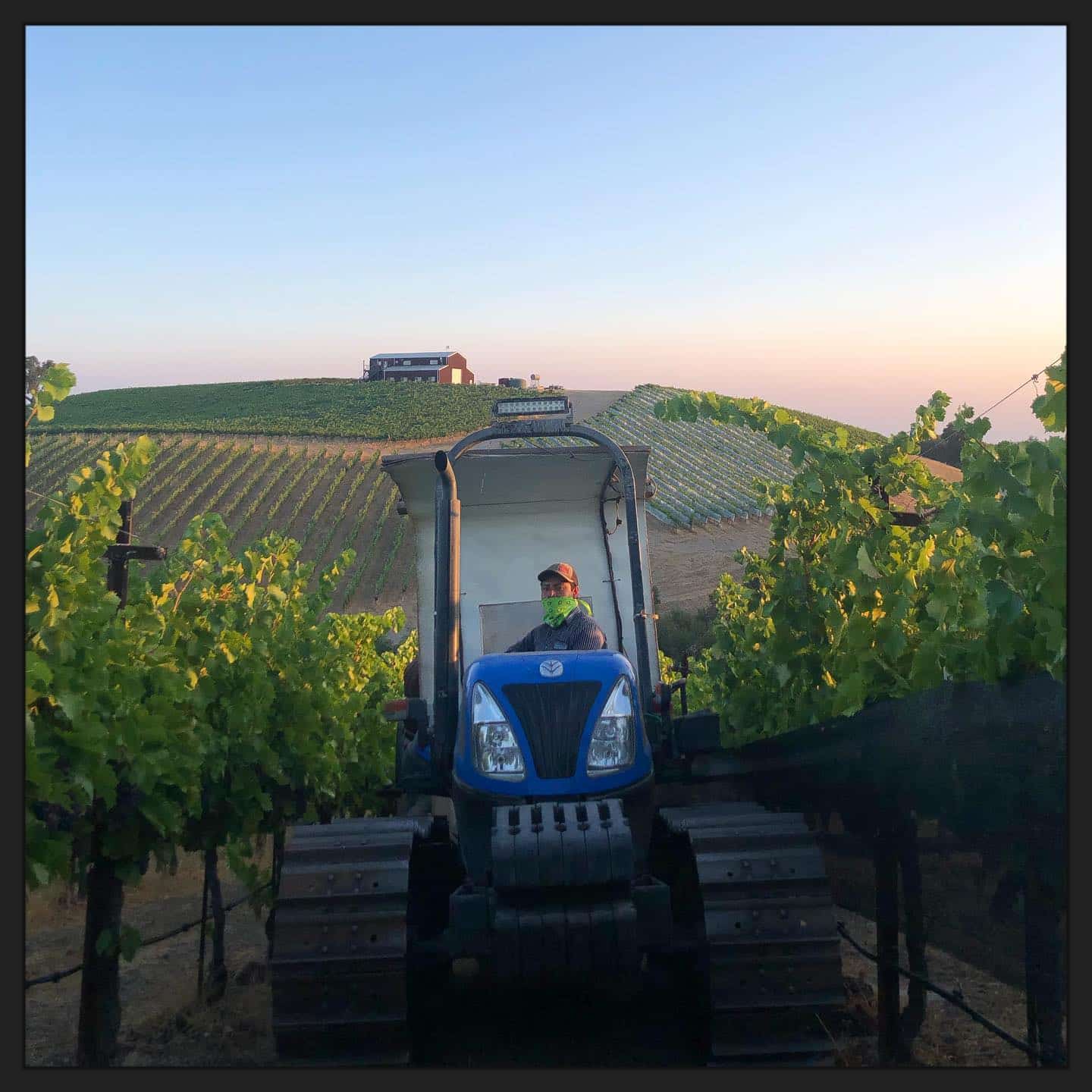 Paso Robles Harvest 2020