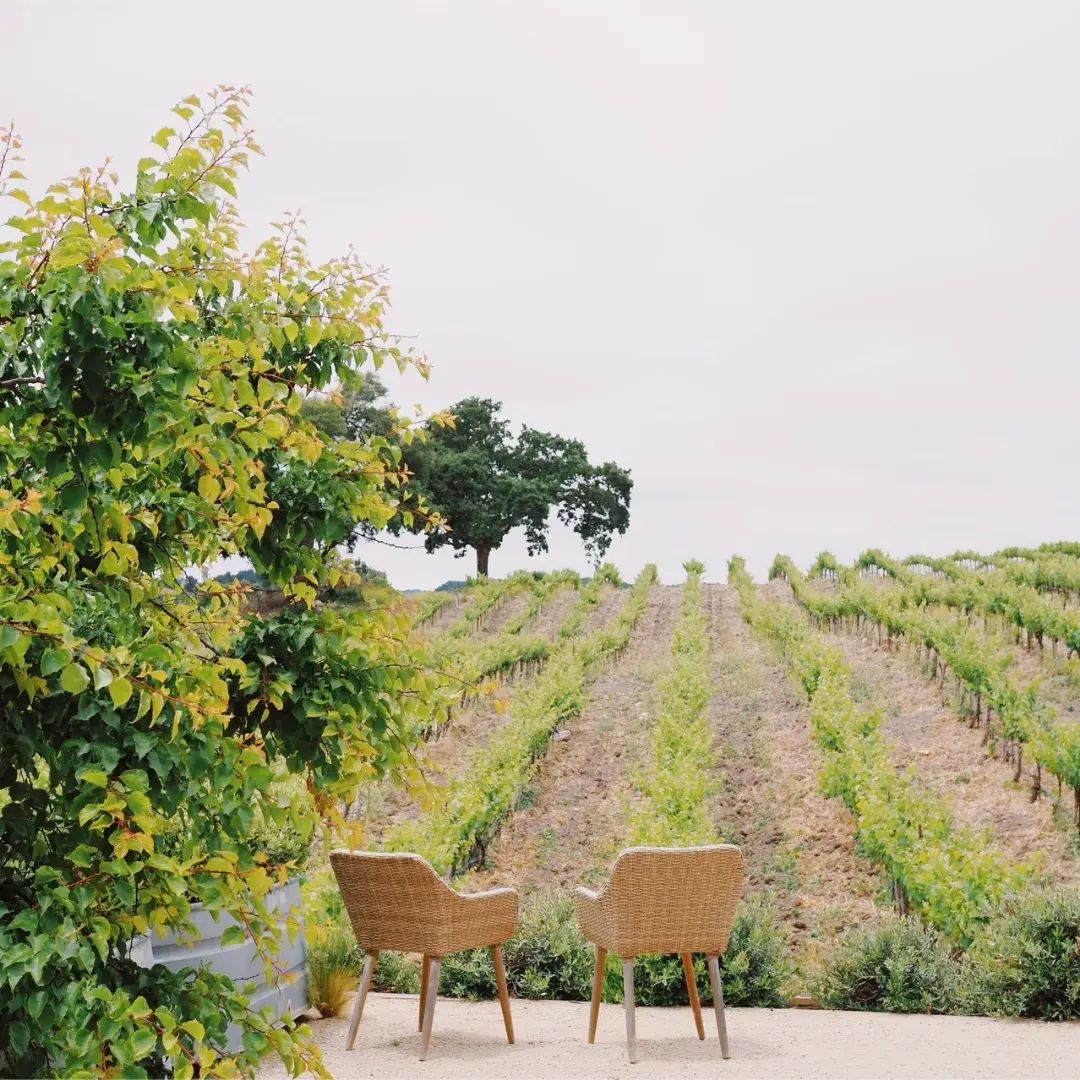 Spring time in Paso Robles