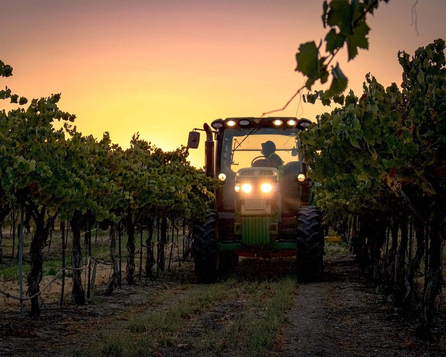 Paso Robles Harvest 2020