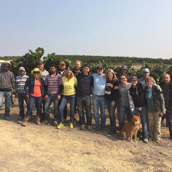 Harvest in Paso Robles