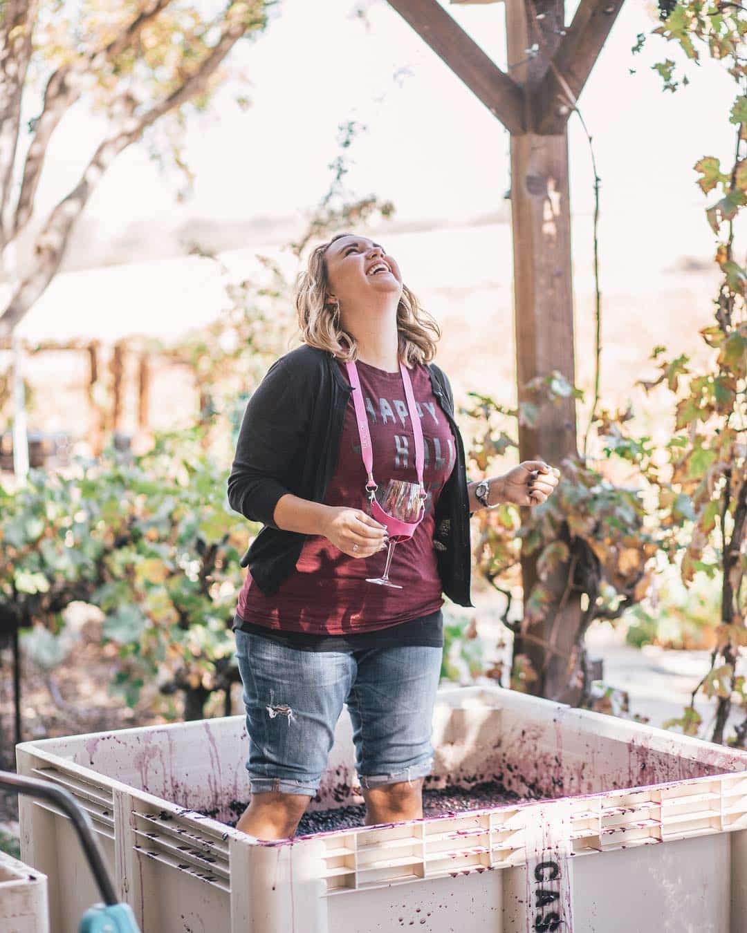 Harvest in Paso Robles