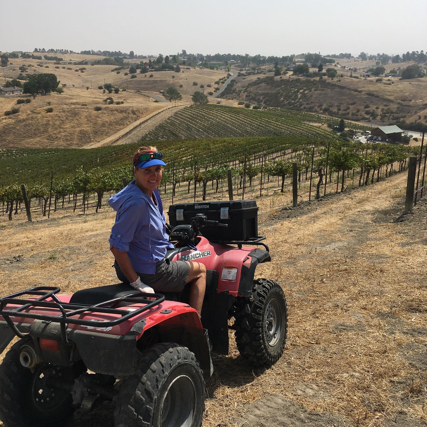 Paso Robles Harvest 2020