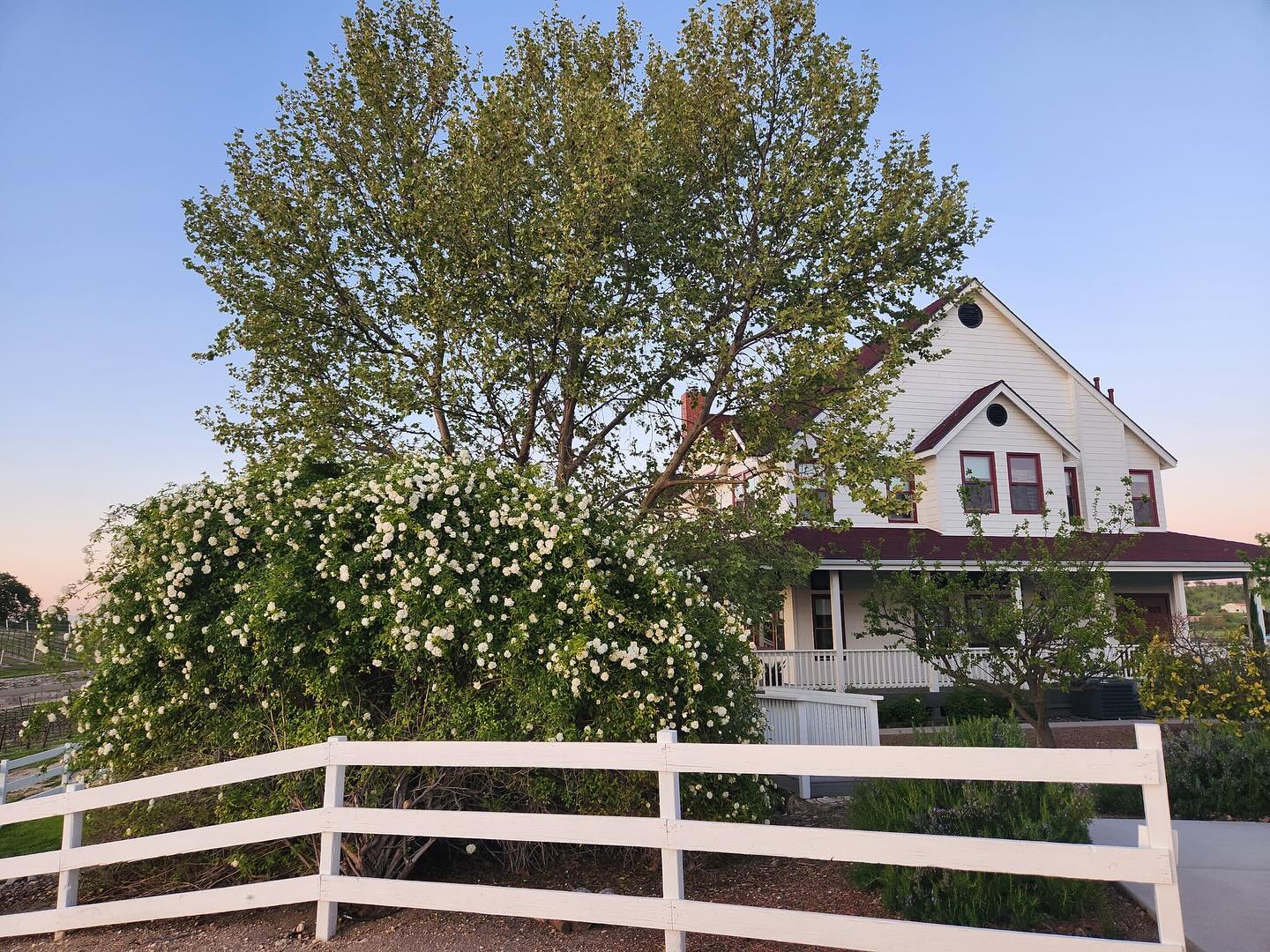 Spring time in Paso Robles