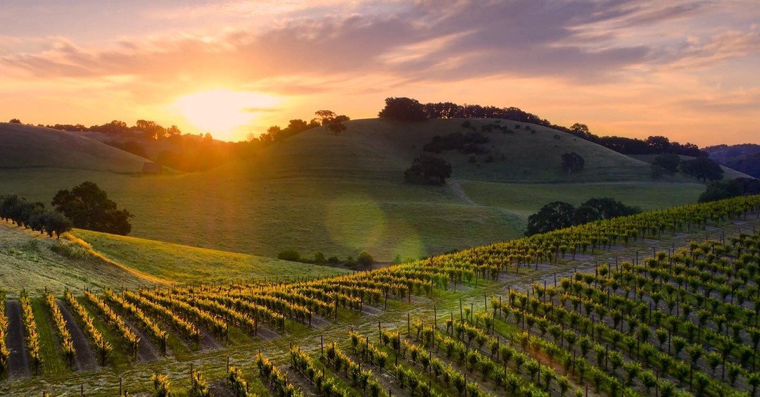 What Does Paso Robles Mean Paso Robles Wine Country Alliance