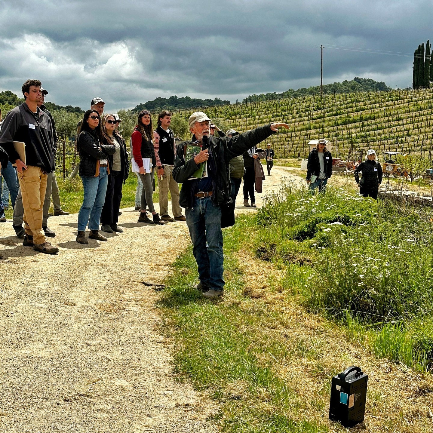 Spring time in Paso Robles