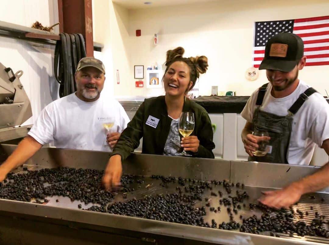 Harvest in Paso Robles